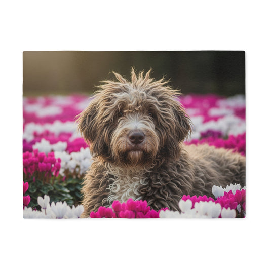 Bergamasco Sheepdog Sweatshirt Blanket