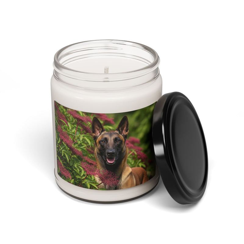 Belgian Shepherd Dog Malinois- Scented Soy Candle, 9oz