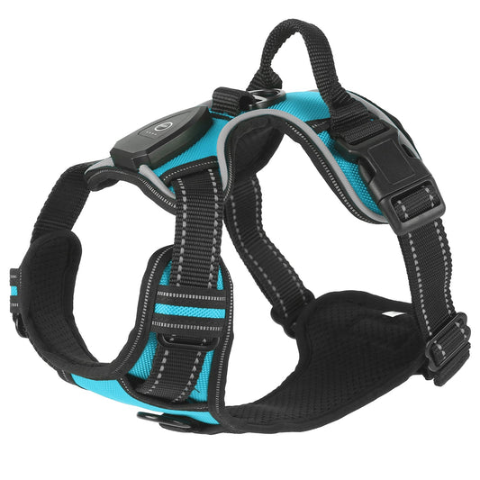 Light Up Dog Harness
