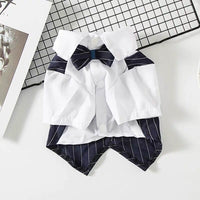 Pet Dog Suit Summer Thin Teddy Suit Shirt Suit Wedding Dress