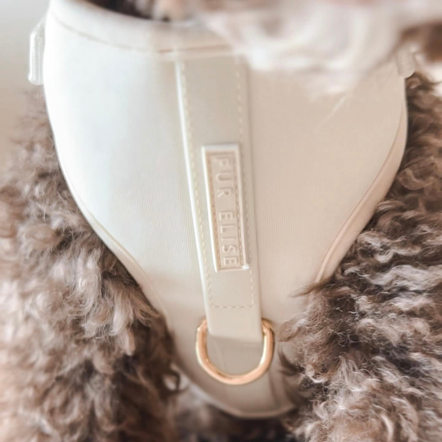 Elise Harness - Bone - Pet Harnesses - Elise Galleria