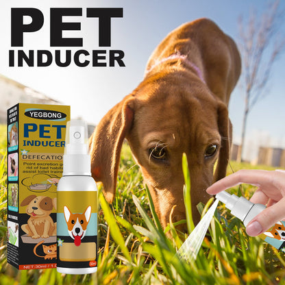 Professional Dog Potty Training Spray for Fast Housebreaking