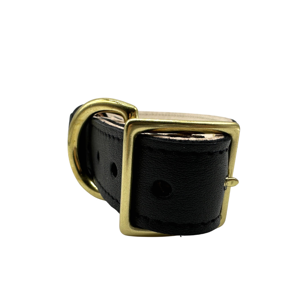 Plain Leather Dog Collar | Purrfect Pet Kingdom