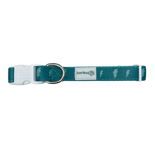 Thunderstruck Collar Dog Collar | Purrfect Pet Kingdom