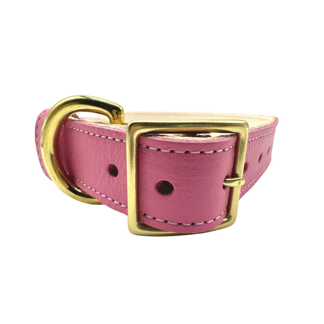Plain Leather Dog Collar | Purrfect Pet Kingdom