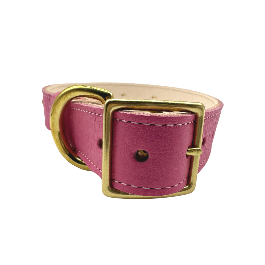 Plain Leather Dog Collar | Purrfect Pet Kingdom