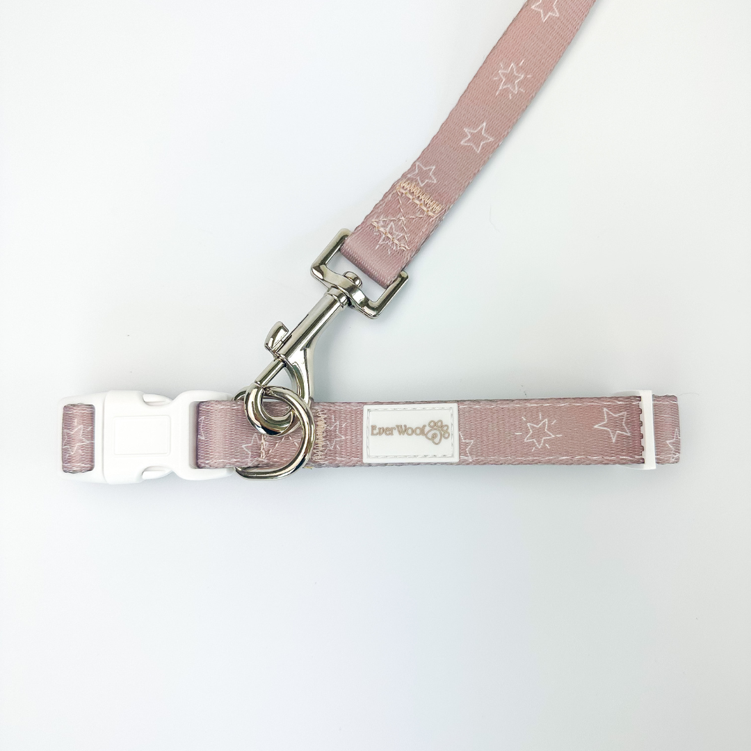 Asteria Collar Dog Collar | Purrfect Pet Kingdom