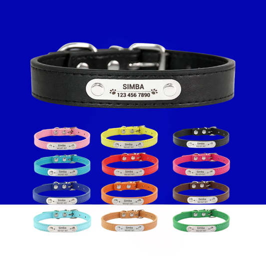 Dog Collar Personalized Engraved