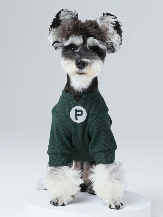 Embroidery Waffle T Shirt Green Dog Apparel Premium Pet - main product image