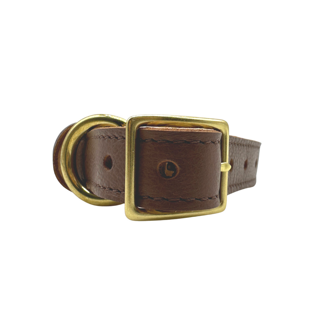 Plain Leather Dog Collar | Purrfect Pet Kingdom