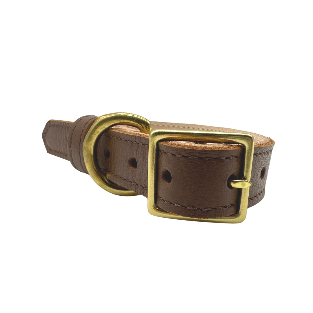 Plain Leather Dog Collar | Purrfect Pet Kingdom