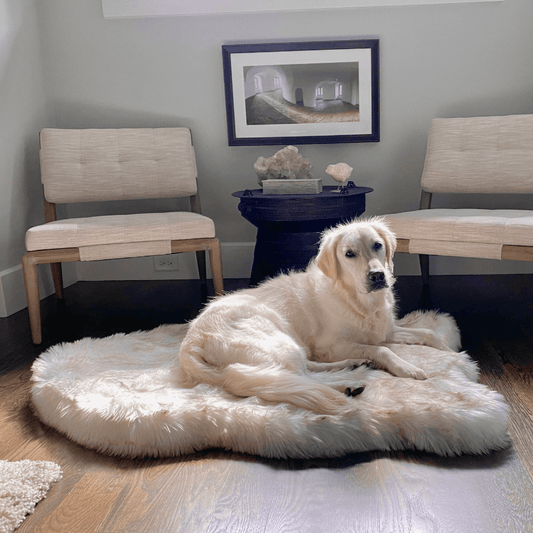 Puprug By Faux Fur Orthopedic Dog Bed Curve White - main product image