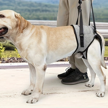 Recovery Support Harness - Help Your Dog Walk Again