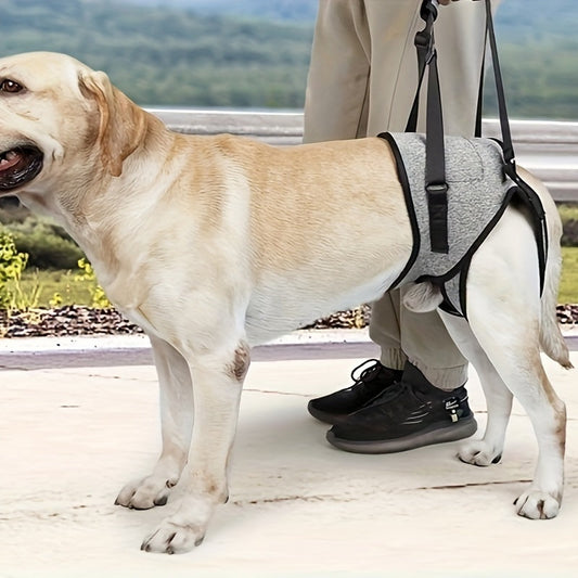Recovery Support Harness - Help Your Dog Walk Again