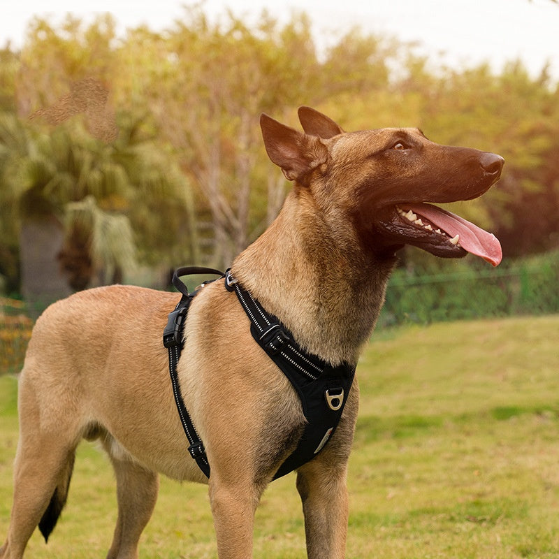 Chest Strap Camouflage Reflective Explosion-proof Dog
