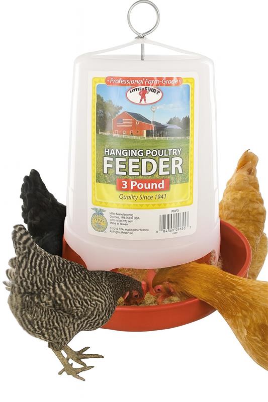 Little Giant 3Lbs Plastic Hanging Poultry Feeder Ideal for Chicks & Baby Quail
