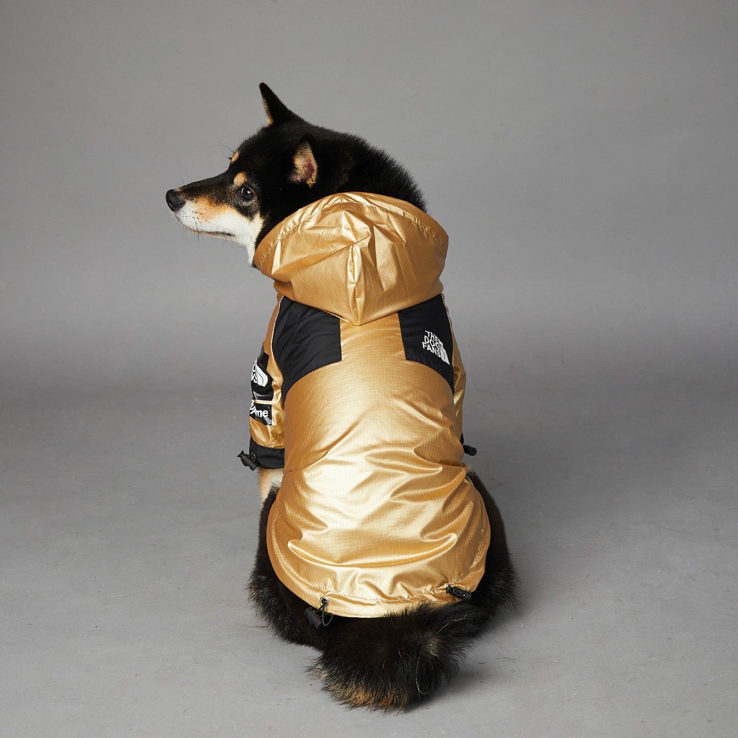 Dog Raincoat – Hooded Waterproof Jacket for All Weather