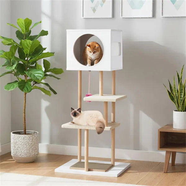 Purrfect Pet Kingdom white multi-level cat tree with top condo. Ginger cat inside; Siamese cat on middle platform.