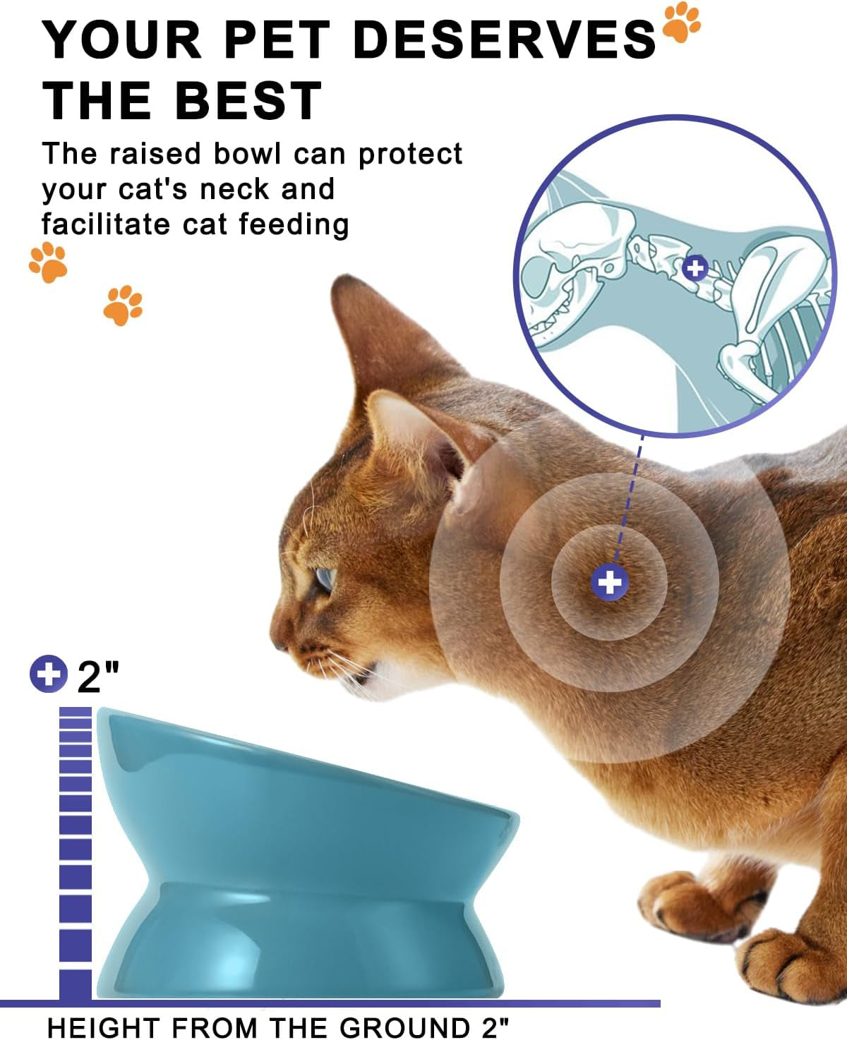 Cat Bowl Elevated Ceramic Lake Blue Raised Tilted 🐱