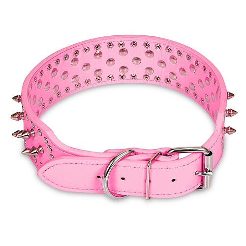 GBruno Dog Leather Collar Spiked