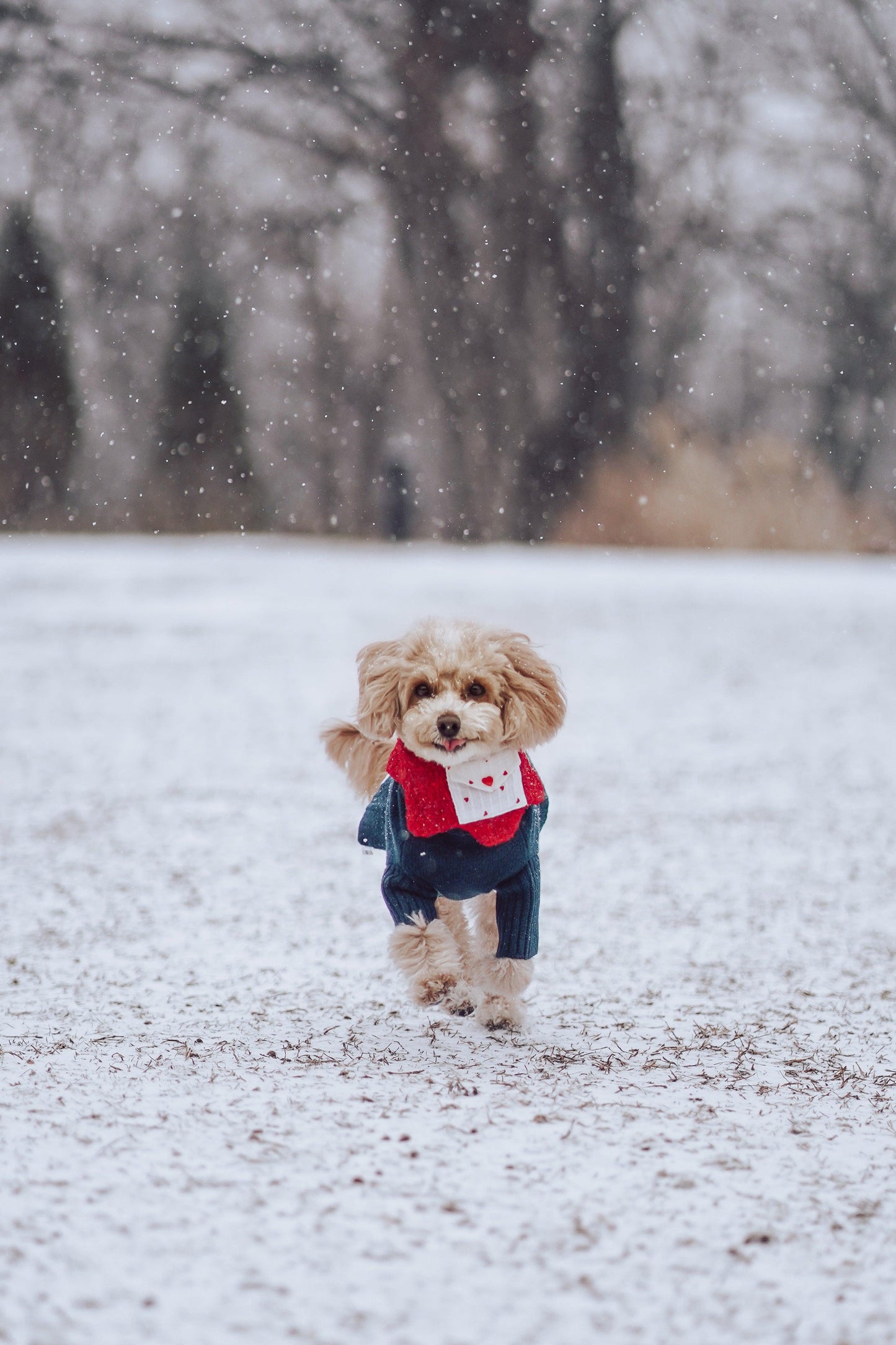 Love Note Reversible Handmade Bandana - BarkBarkBaby