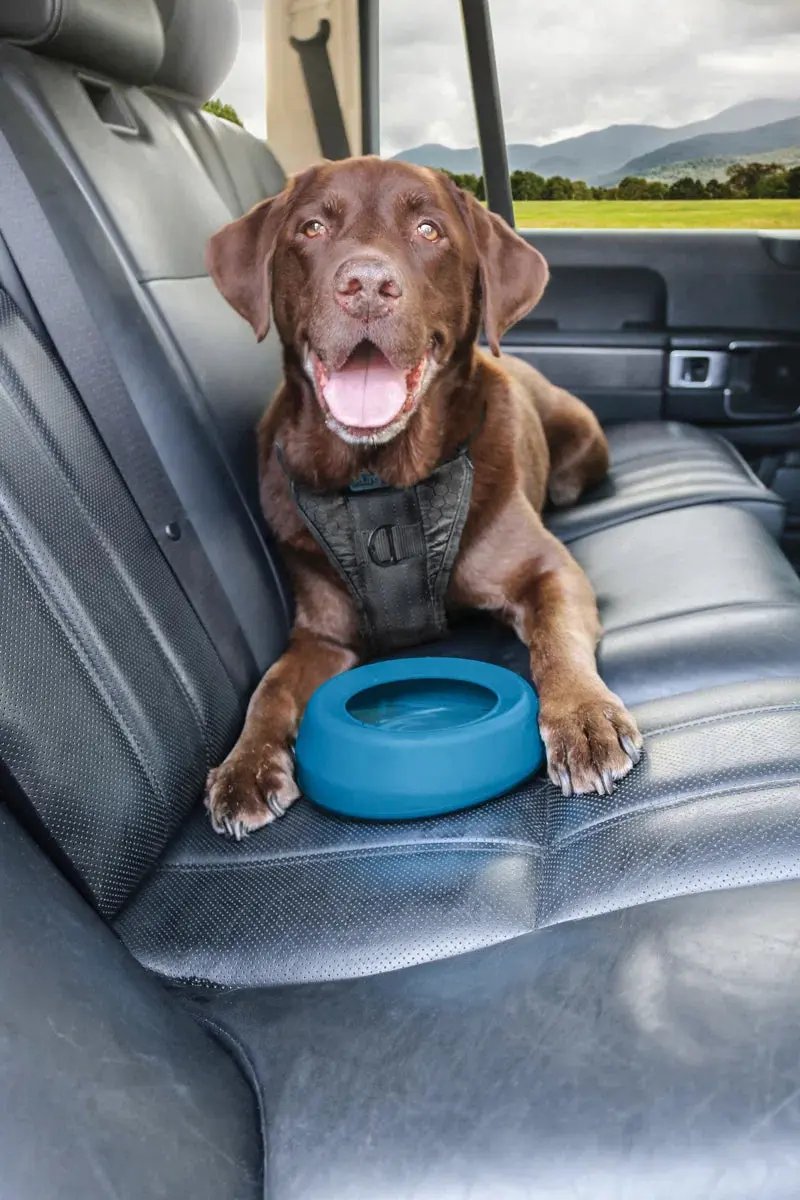 Splash Free Wander Water Bowl