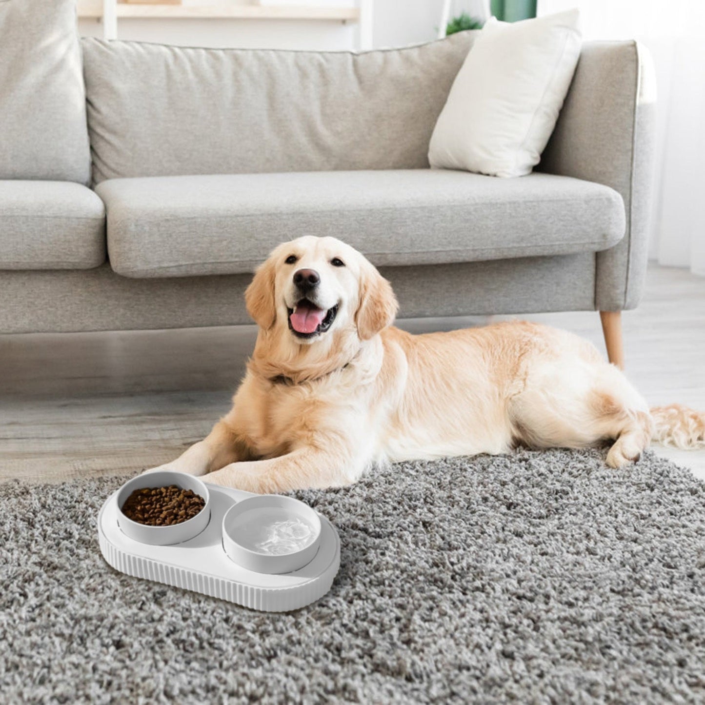 GBruno Heated Water Bowl For Dogs And Cats