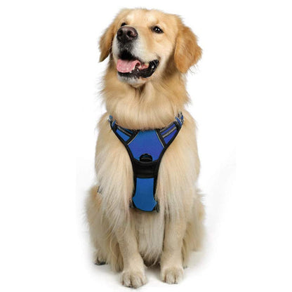Dog Hand Holding Rope Reflective Vest