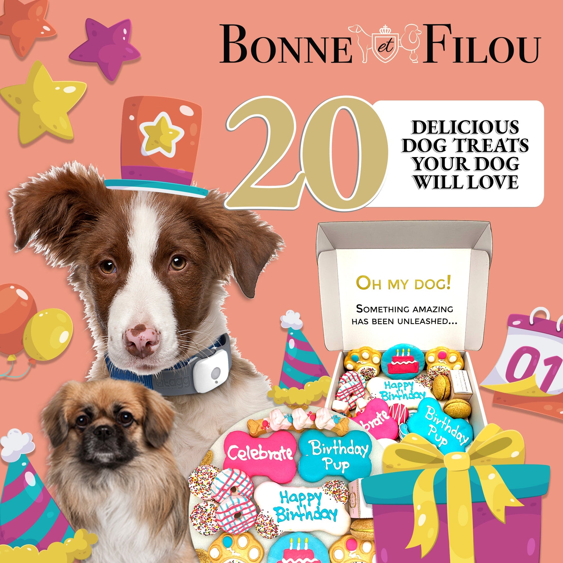 Dog Treats Happy Birthday Treats Gift Box for Daily Use - gallery product image for dog treats