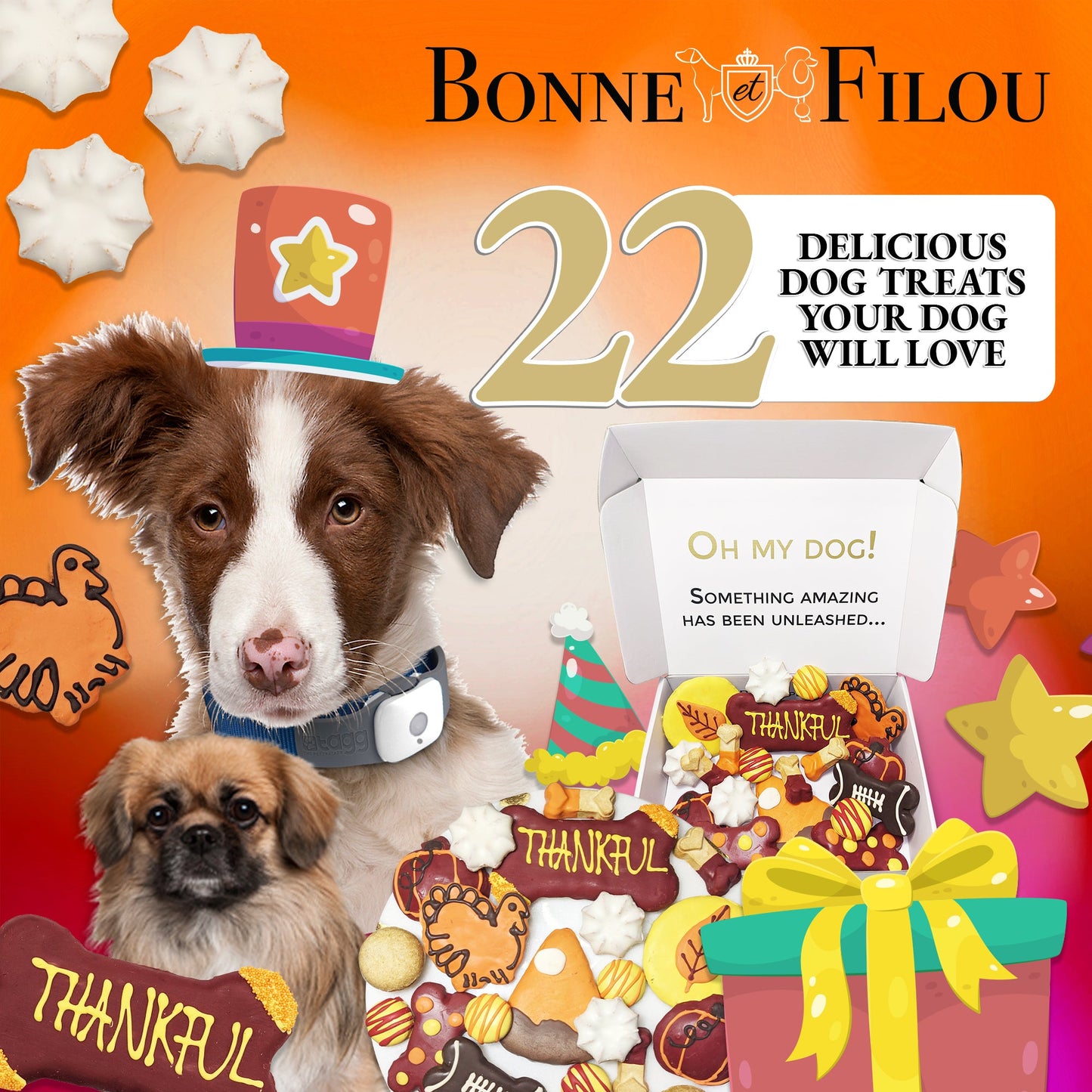Dog Treats Thankful Themed Treats Gift Box for Daily Use - gallery product image for dog treats
