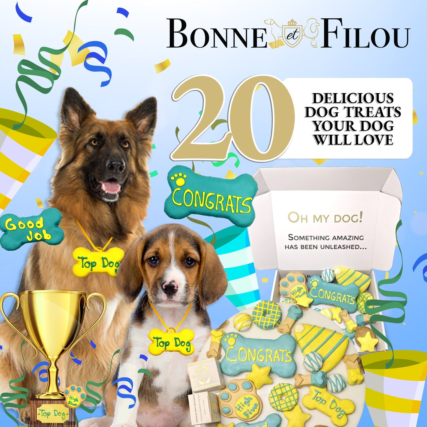 Winter Themed Dog Treats Gift Box | Purrfect Pet Kingdom