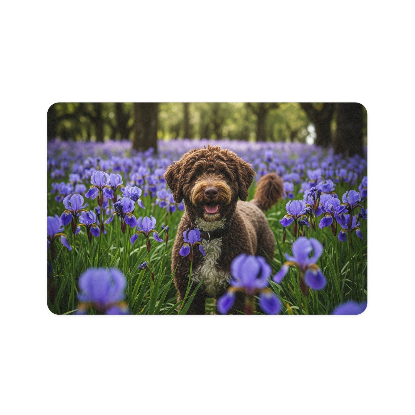 Pet Food Mat (12x18) - Portuguese Water Dog