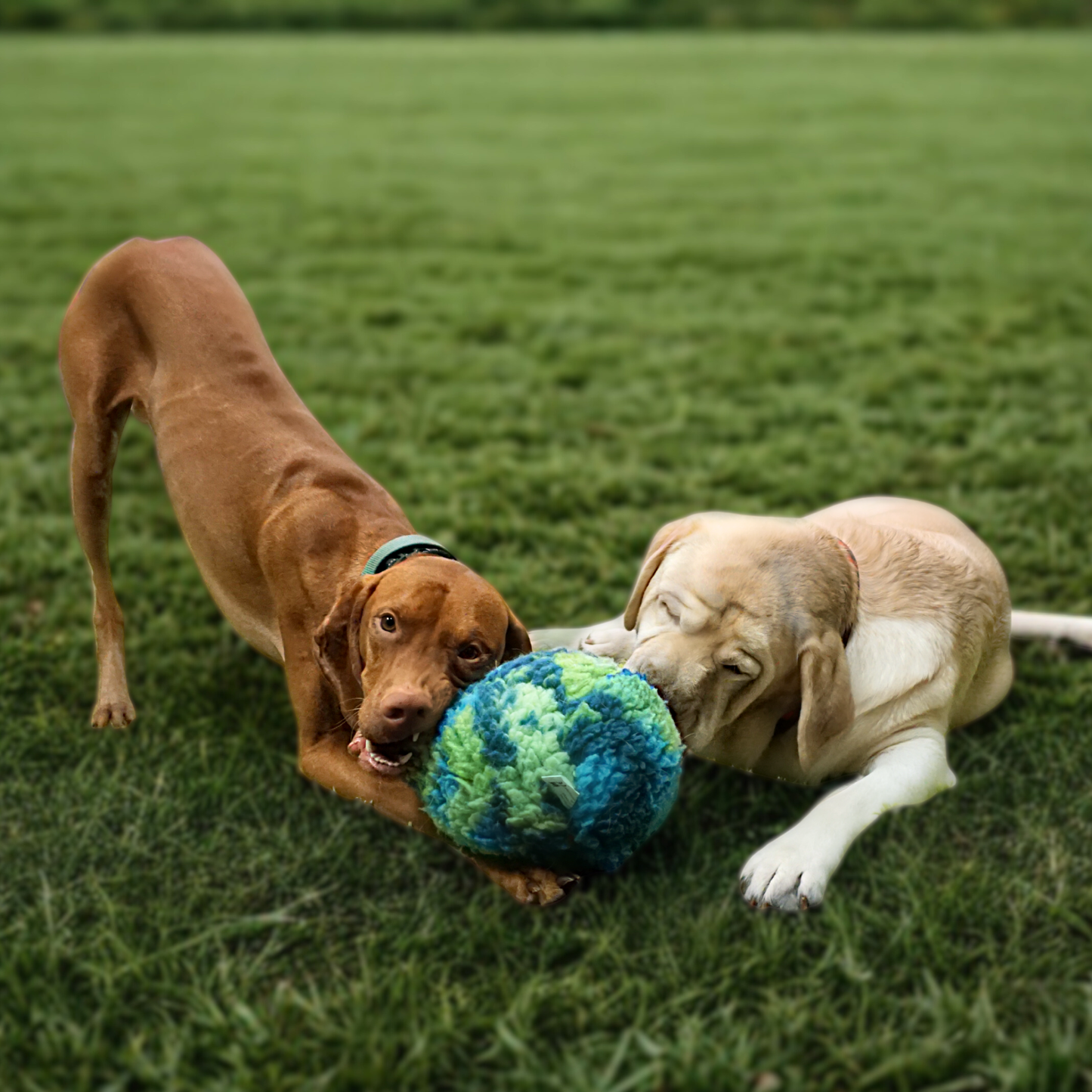 Pet Toy HuggleSnuffles SnuffleSphere Puzzle Ball for Comfort - gallery product image for pet toy