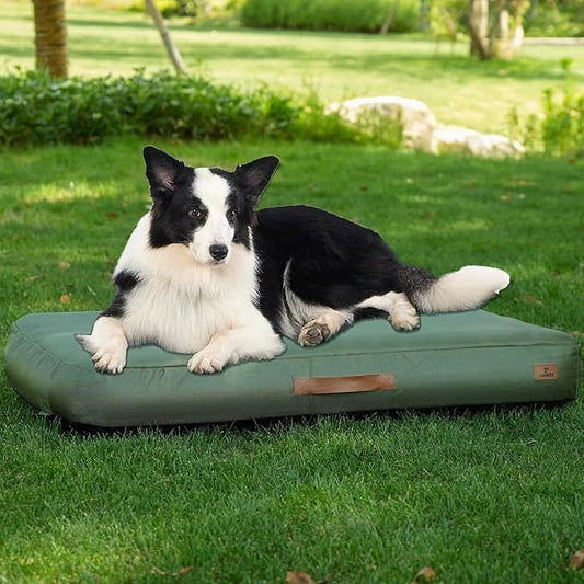 PawPal Oasis: Inflatable Waterproof Dog Travel Mat