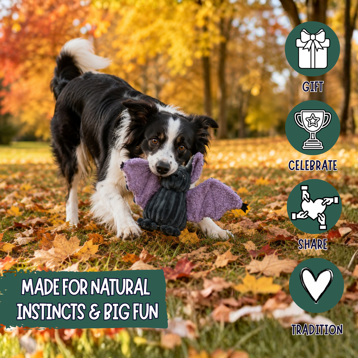Purrfect Kingdom™ - Baxter Bat Halloween Festive Comfort Toy
