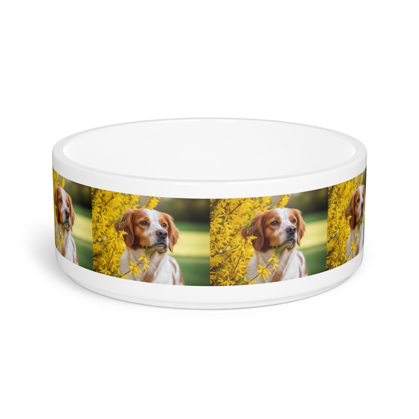 Brittany Dog Pet Bowl