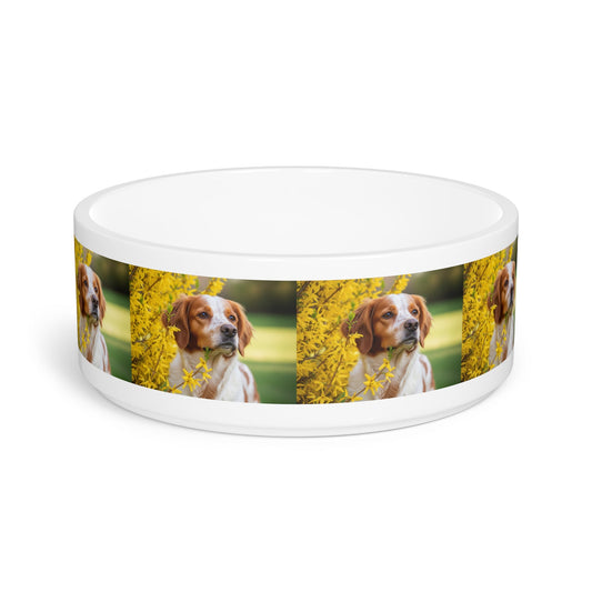 Brittany Dog Pet Bowl