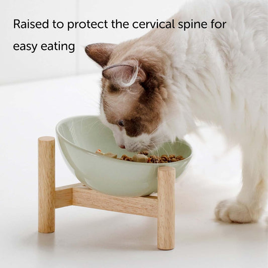 Elevated Raised Bowl For Indoor Cats, Cat Basic Bowls Dish