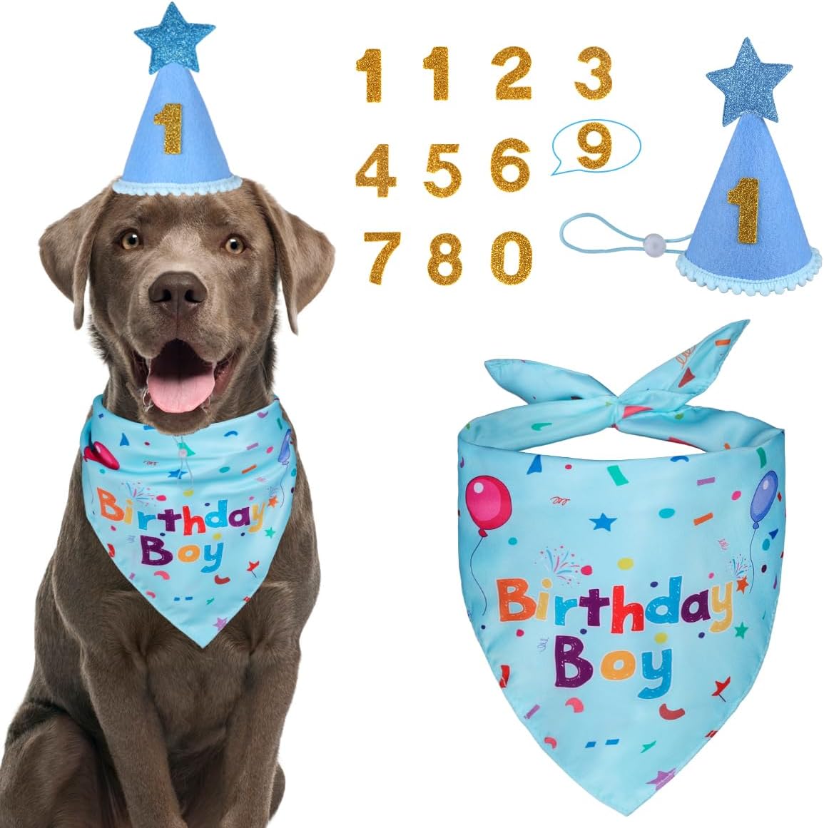 Dog Birthday Party Supplies – Premium Bandana & Hat Set for Dogs