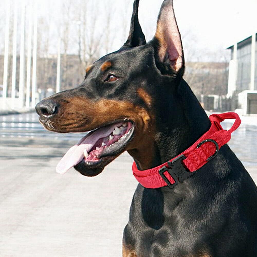Dog collar+leash set Military-Style Tactical Nylon Collar for Large dogs