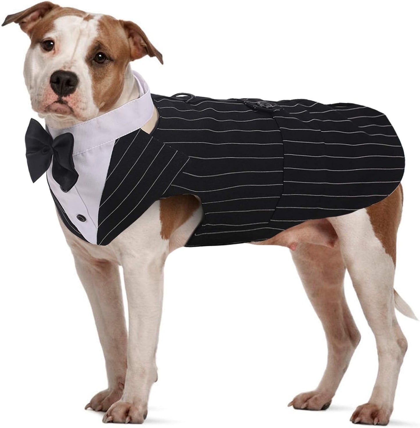 Dog Tuxedo Suit with Bow Tie – Wedding & Formal Outfit