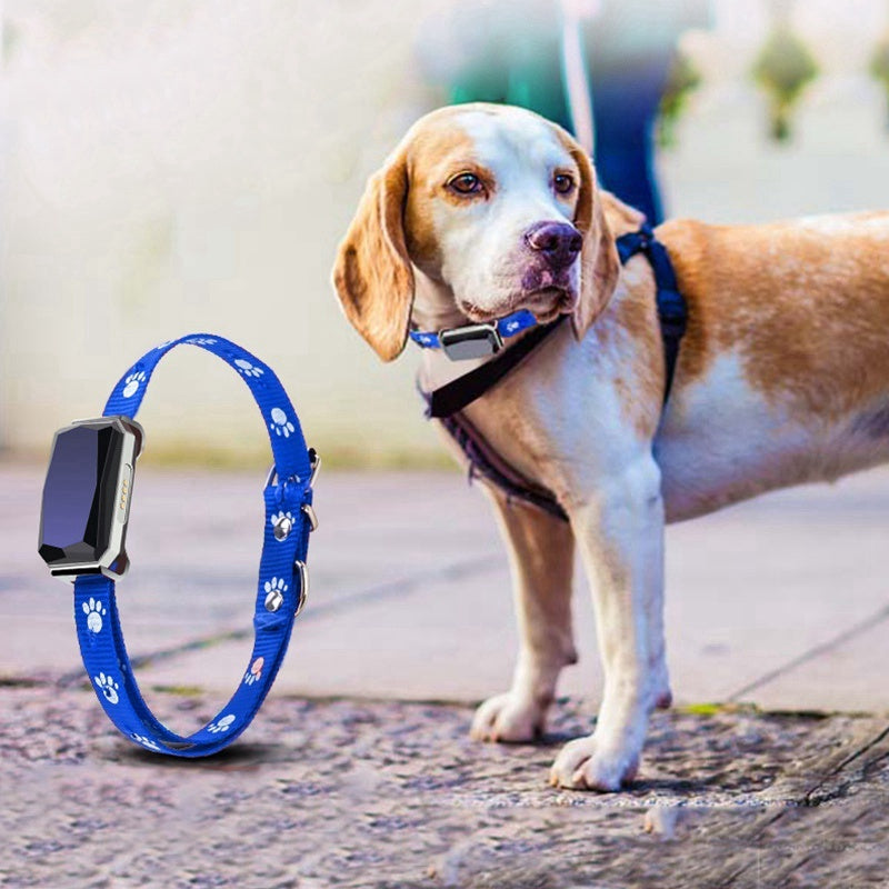 GPS Tracktive pet positioning collar - PLGPS