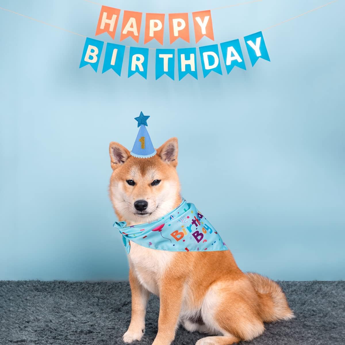 Dog Birthday Party Supplies – Premium Bandana & Hat Set for Dogs
