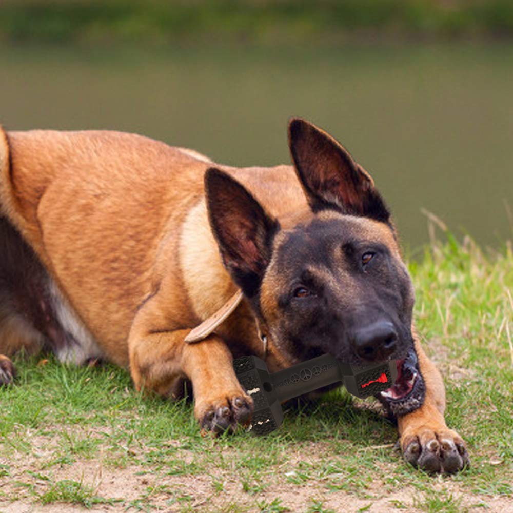 Dog Chew Toys for Aggressive Chewers Non-Toxic Dental Pet To