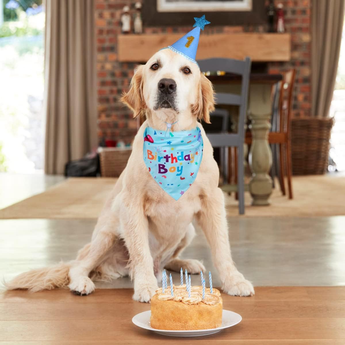 Dog Birthday Party Supplies – Premium Bandana & Hat Set for Dogs