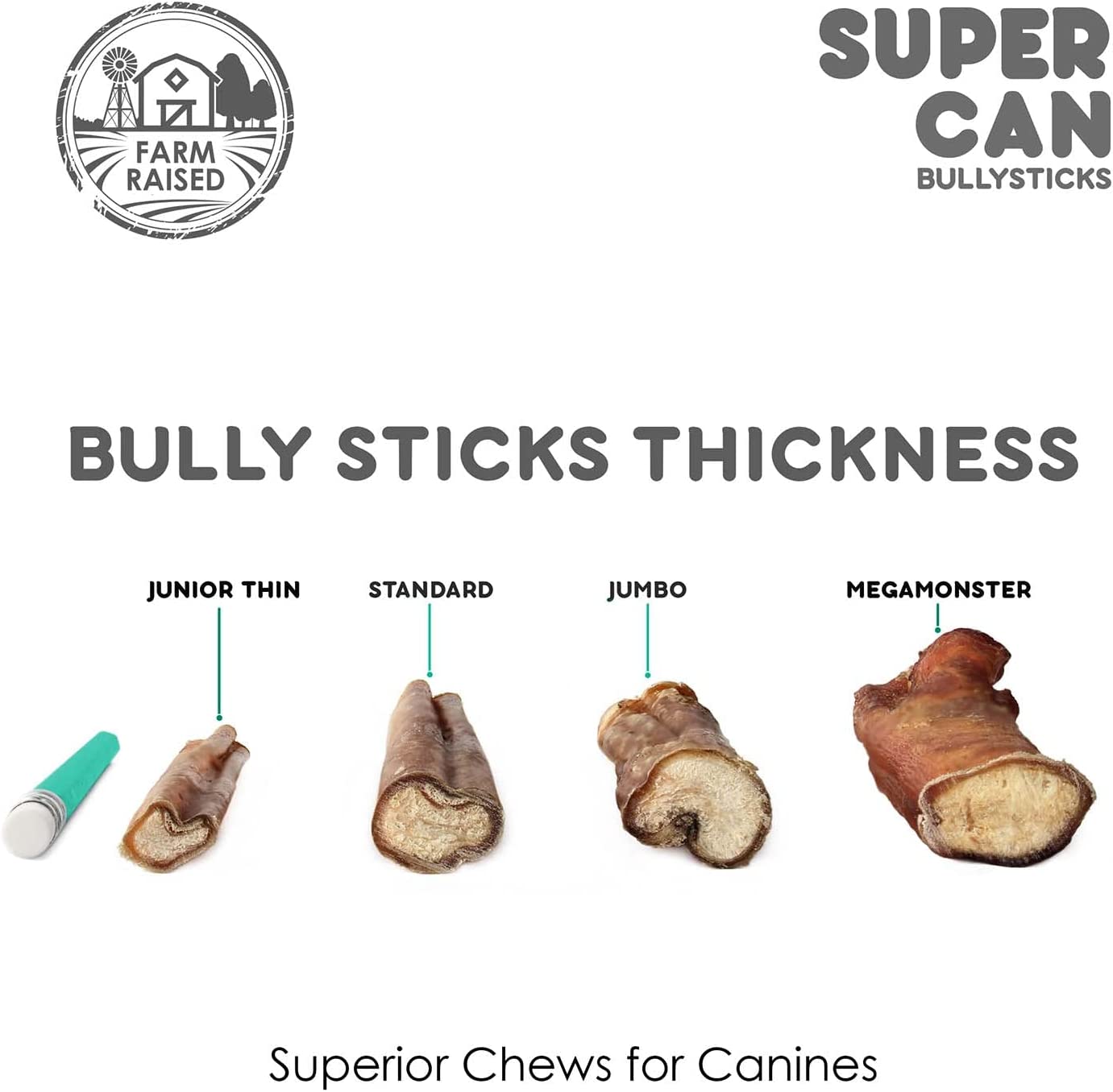 Dog Treats Bully Sticks 12 Inch Standard 100% Natural Beef