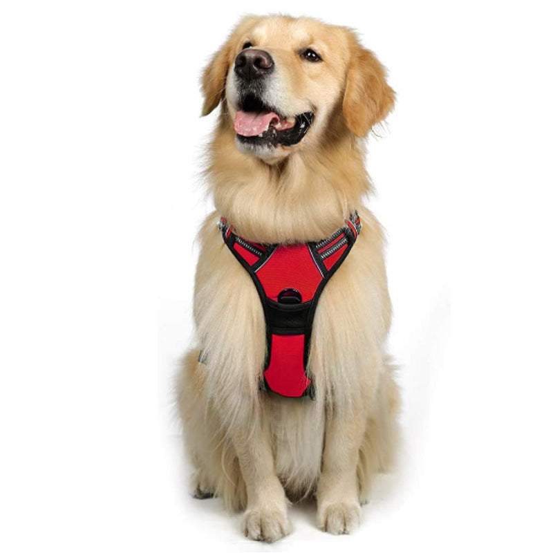 Dog Hand Holding Rope Reflective Vest