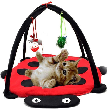 Purrfect Pet Kingdom red and black plush ladybug cat play mat with overhead arch and hanging toys.