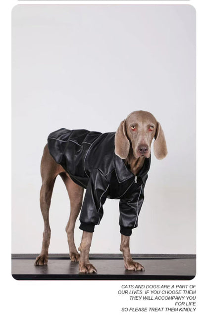 Dog Clothes For Medium To Large Breeds Autumn Black Leather