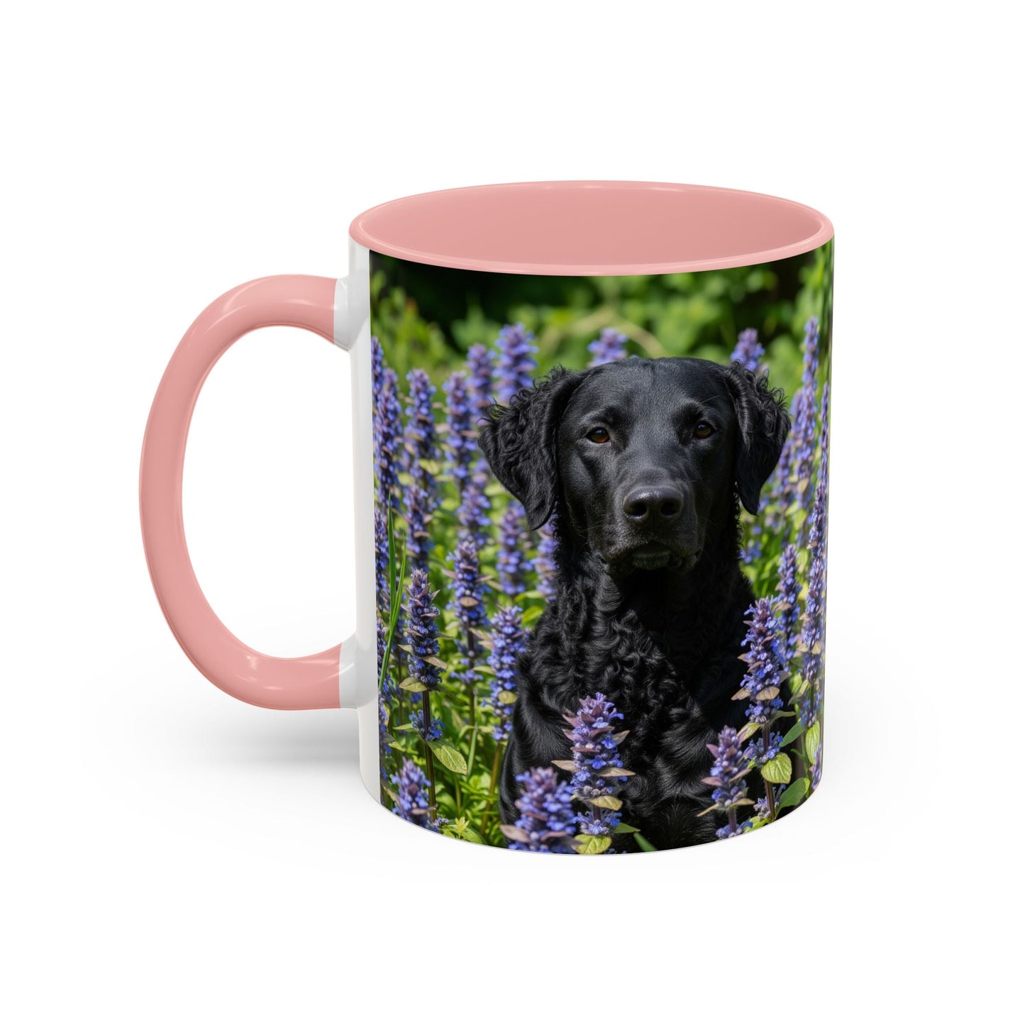 Curly Coated Retriever Accent Coffee Mug - Perfect Gift for